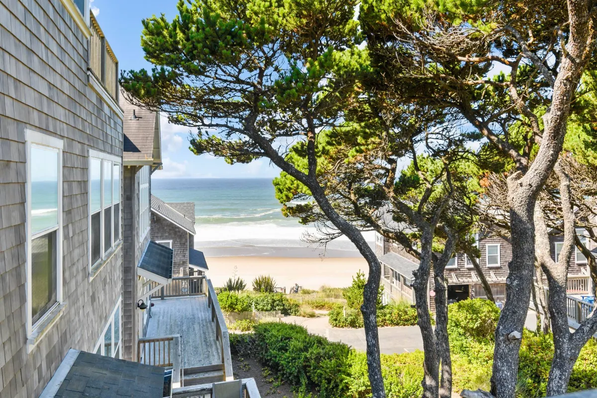 This image presents a breathtaking ocean view framed by trees, with visible beach access. The scene suggests a tranquil, scenic spot ideal for relaxation, morning coffee, or romantic sunsets, echoing the section's emphasis on ocean vistas and outdoor leisure.